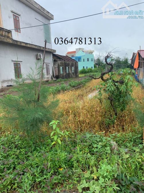 Góc cảnh báo!! Đừng bỏ qua lô đất này nếu Đầu tư đất biển Quất Lâm – Nam Định - 1