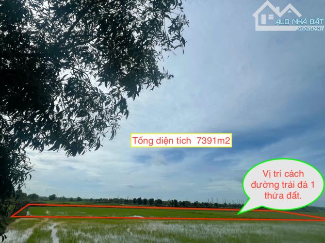 Đất bán vườn xã Trung Lập Hạ diện tích 7391m2 giá chỉ 500k m2 còn thương lượng. - 1
