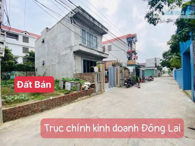 Mở bán đất thổ cư 73m² – Trục chính KD Đông Lai, Quang Tiến, Sóc Sơn - 1
