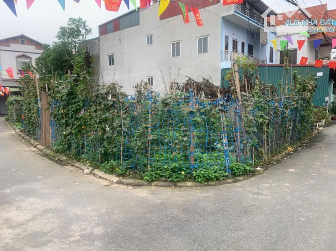 Bán Lô góc 2 mặt đường ô tô tại Ngọc Động, Bát tràng, DT: 62m2 đường rộng 3,5m xe 7 chỗ và - 1
