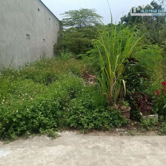 Lô đất siêu rẻ, rẻ nhất thị trường DIÊN AN DIÊN KHÁNH KHÁNH HOÀ - 1
