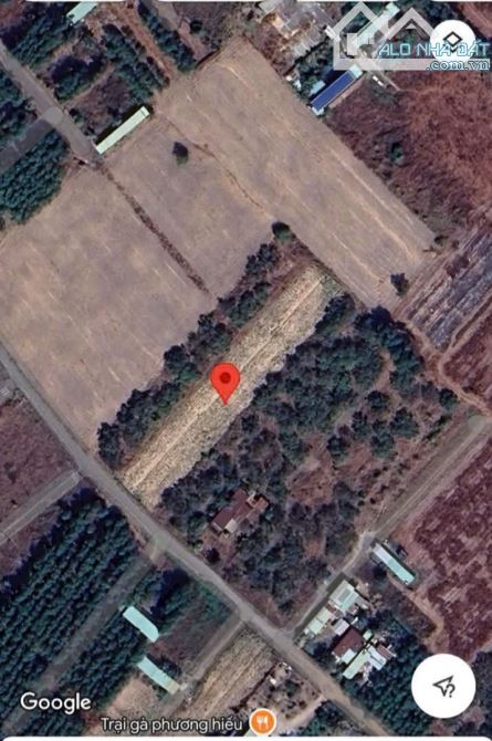 2,2 Sào Đất 1 Mặt Tiền Đường Nhựa Sẹc 300m Đ.Trần Vĩnh Lộc & Ngay Gần KCN Giang Điền - An - 1