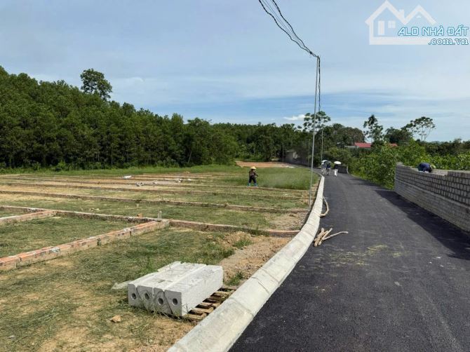 💎 CHỈ 195 TRIỆU - NHỈNH 1 CÂY VÀNG - SỞ HỮU ĐẤT ĐẸP GIÁ RẺ, FULL THỔ CƯ, LẠC THUỶ HOÀ BÌN - 1