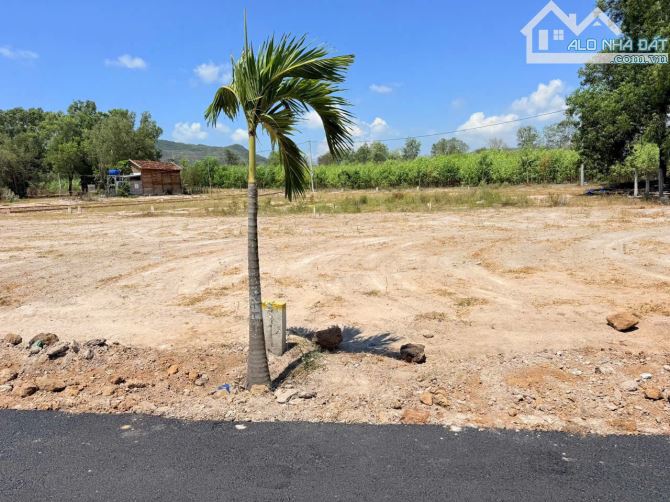 🌴 BÁN LÔ ĐẤT TRUNG TÂM THỊ TRẤN PHƯỚC HẢI – LONG ĐẤT, BRVT 🌴 - 1