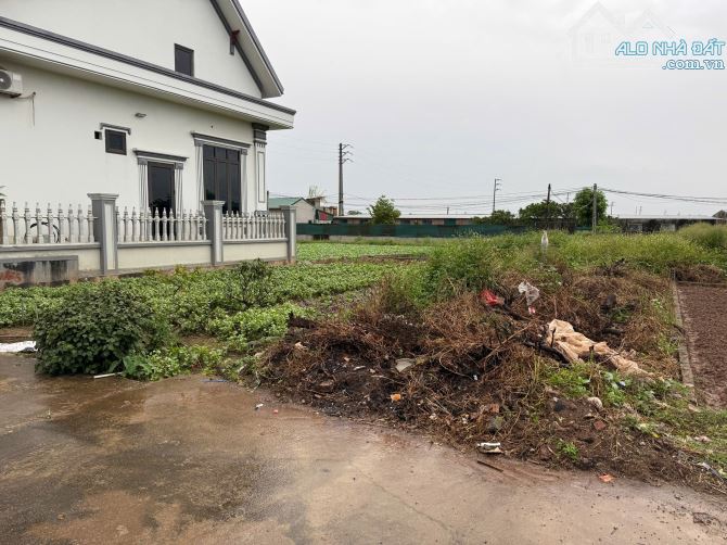 Bán đất Thư Phú đường rộng 4m Giá đầu tư - 1