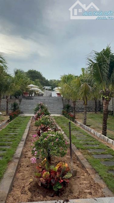 Bán đất View BIỂN -Mặt tiền đường Trần Lê nối dài ,Vị trí thôn Tiến Bình -Tiến Thành - 1