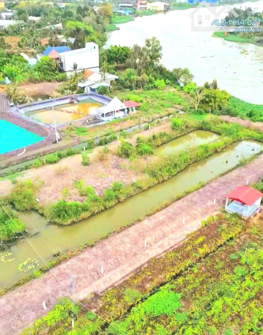 Quá Vip, chỉ 600tr sở hữu 1000m2 đất xây nhà vườn 15 x 65m - 1