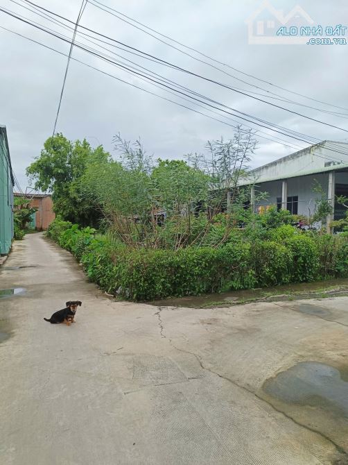 Đất hẻm ô tô đường Nguyễn Quang Đại, P5 TP Tân An - 1