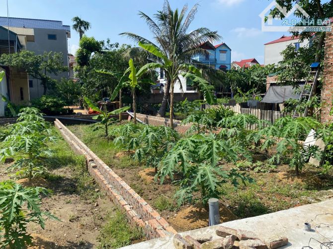 Bán mảnh đất 71m² tại thuận thành bắc ninh.ngõ (2,5m) - 1