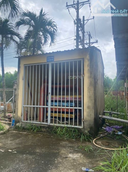 Bán nhà xường sản xuất gỗ cổ phần 100%, Biên Hòa, Đồng Nai, 7.9 ha, giá 300 tỷ. - 1