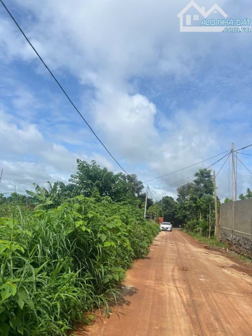 2000m2 hẻm Giải Phóng thông vành đai 30/4 - Cưebur - 1
