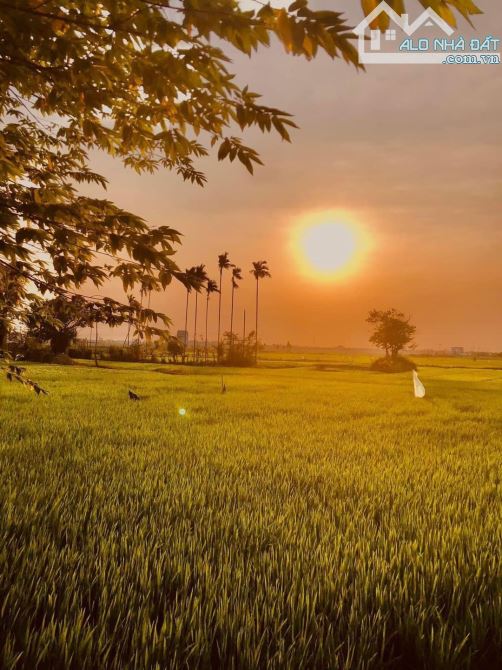 - Bán lô View Lúa đường Hùng Vương sát trung tâm phố cổ giá Rẻ - 1