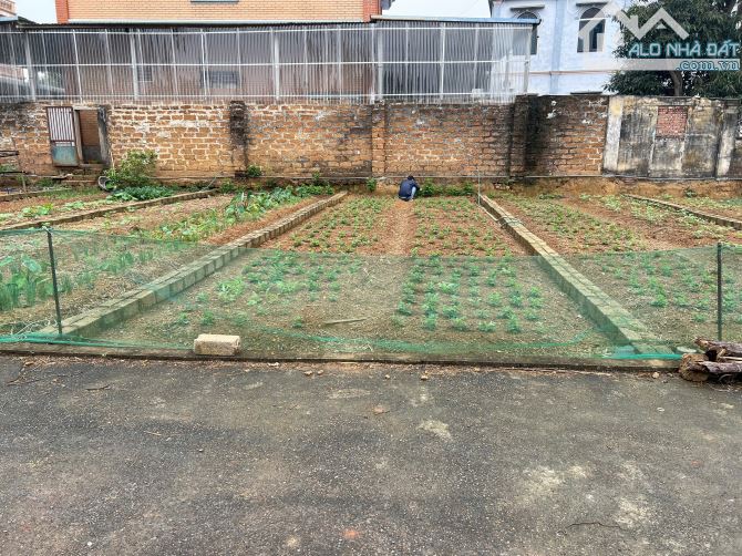 Cần bán lô đất 60m² Hạ Bằng – Gần đất dịch vụ Tân Xã - 1