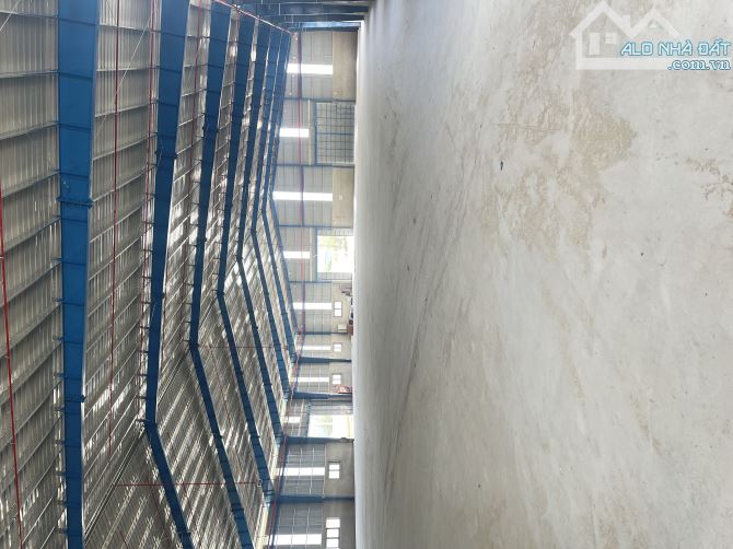 💥 CHO THUÊ XƯỞNG KTT NHƠN HỘI 3.840m2 6500m2, 10.000m2,20.000m2 ƯU ĐÃI THUẾ DN, XƯỞNG MỚI - 2