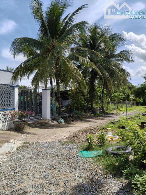 🍀Cần bán lô đất 180m2 ngang 6m, đường rộng đất đẹp.Ninh Phụng-Ninh Hòa - 3