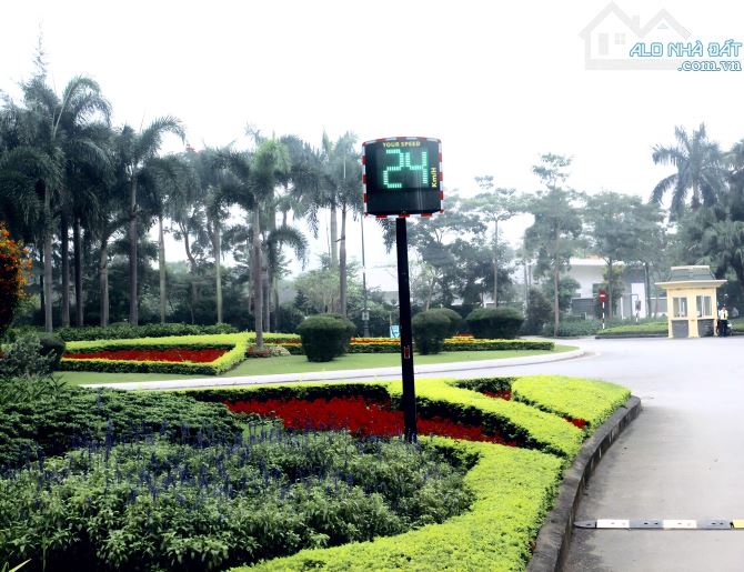 TOP 3 BIỆT THỰ ĐƠN LẬP GÓC ĐẸP TẠI CIPUTRA  (265M² - 426M² - 638M²) - 2