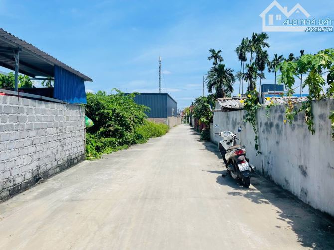 Bán đất Đại Đồng - Kiến Thụy - Hải Phòng - 2