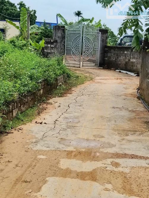 Hàng giá rẻ đẹp tại kỳ sơn thủy nguyên hải phòng  DT 115m Cách đường liên thôn 50 m không - 2