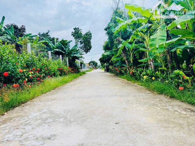 Thanh Lương 3 - Hương Xuân cách QL1A 2km diện tích 253m2 giá rất thiện chí chỉ 8xx triệu