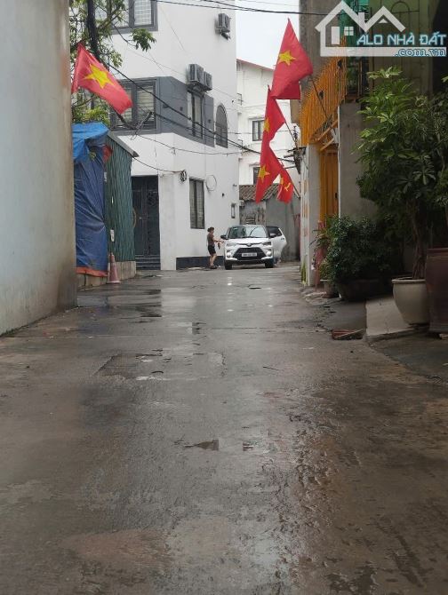Bán đất Phố Tân Thụy, 98m2, ô tô thông, vị trí vàng, 14.45 tỷ - 2