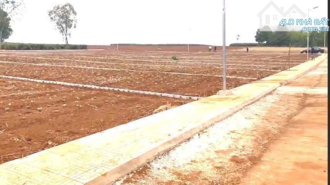 với 210 triệu có ngay lô đất 230m mặt đường liên xã, đón sóng hạ tầng và KCN - 2