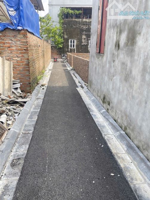 ✌✌Bán 46m2 Mạch Lũng, Đại Mạch – Đầu tư đỉnh, Gần dự án cầu Thượng Cát - 2