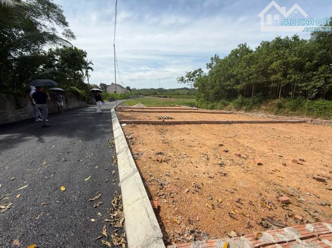 💎 CHỈ 195 TRIỆU - NHỈNH 1 CÂY VÀNG - SỞ HỮU ĐẤT ĐẸP GIÁ RẺ, FULL THỔ CƯ, LẠC THUỶ HOÀ BÌN - 2