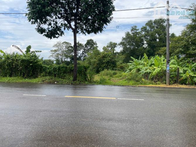 CẦN BÁN GẤP LÔ ĐẤT MẶT TIỀN HƯƠNG LỘ 2 – NGHĨA THÀNH, CHÂU ĐỨC, BÀ RỊA VŨNG TÀU - 2