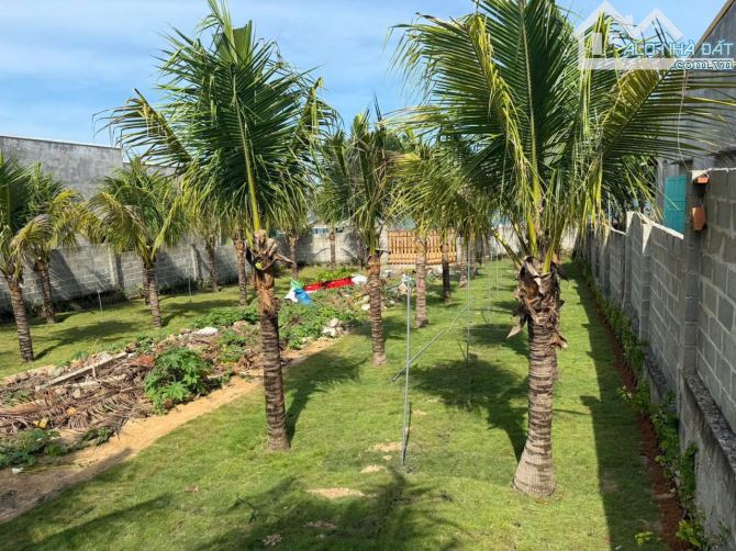 Bán đất View BIỂN -Mặt tiền đường Trần Lê nối dài ,Vị trí thôn Tiến Bình -Tiến Thành - 2