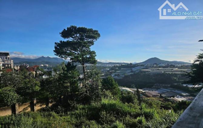 ĐẤT HÙNG VƯƠNG 1037m2 NGANG 23m NỞ HẬU VIEW THOÁNG ĐẸP - 2