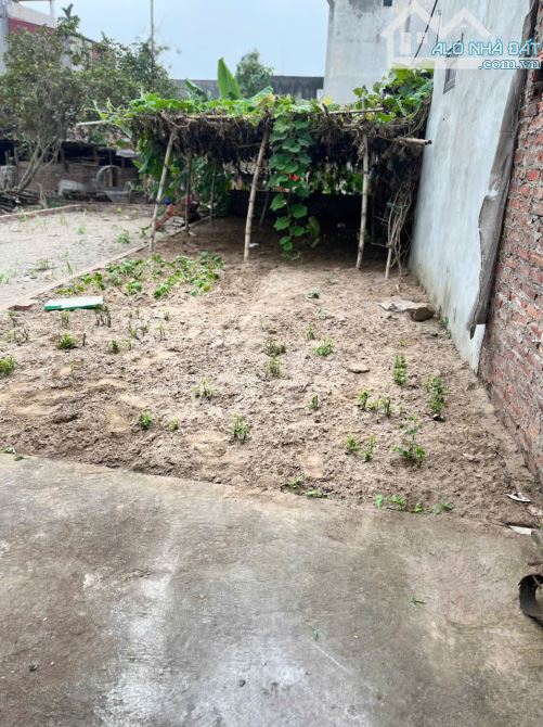 Bán đất 44.5m2 tại thôn Đường Nhạn, Xuân Nộn. Ô tô vào đất - 2