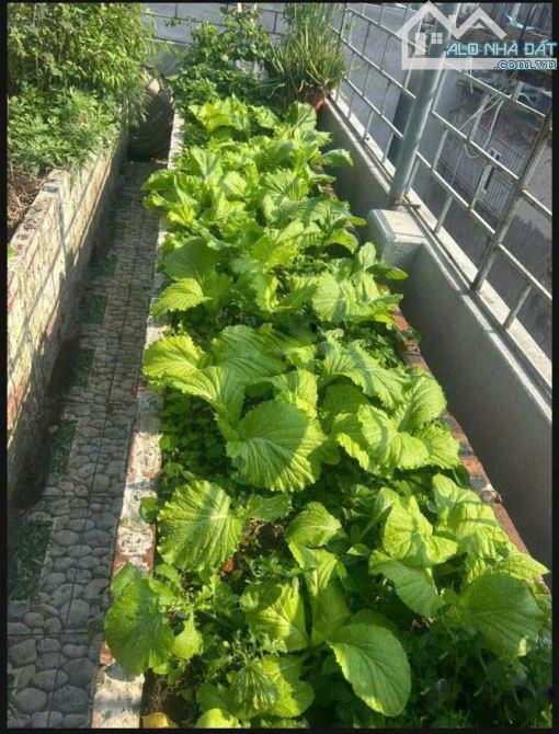 CHO THUÊ NHÀ LÀM CHDV ngõ 8 Lê Quang Đạo, Phú Đô, Nam Từ Liêm 35m x 6T giá 14tr - 2