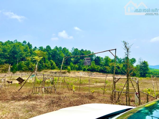 Chính Chủ Bán Lỗ  Đất 1150m2 Quy Hoạch Thổ MẶT ĐƯỜNG NHỰA TL8B QH RỘNG 40m -CHỈ 675 TRIỆU - 2