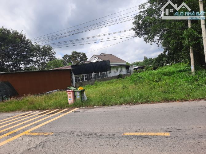 Đất nền an lập tp Hồ Chí Minh vị trí đắc địa giá siêu rẻ mời ae tham khảo đầu tư gấp nhé - 2