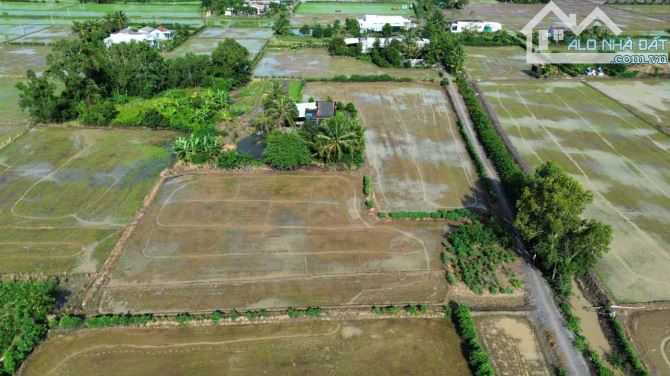 1416 đất lúa mặt tiền đường GTNT Kênh N4 được chuyển thổ giá 1tỷ250tr hết đất - 2