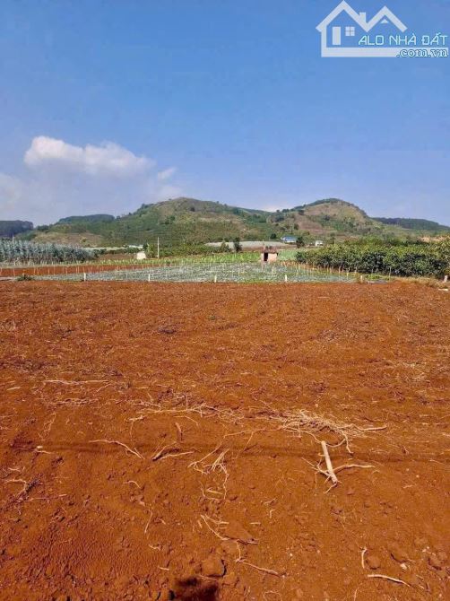 GIÁ 1 TỶ 080 TRIỆU - LÔ ĐẤT ĐẸP An Ninh, Xã Liên Hiệp, Đức Trọng, Lâm Đồng - 2