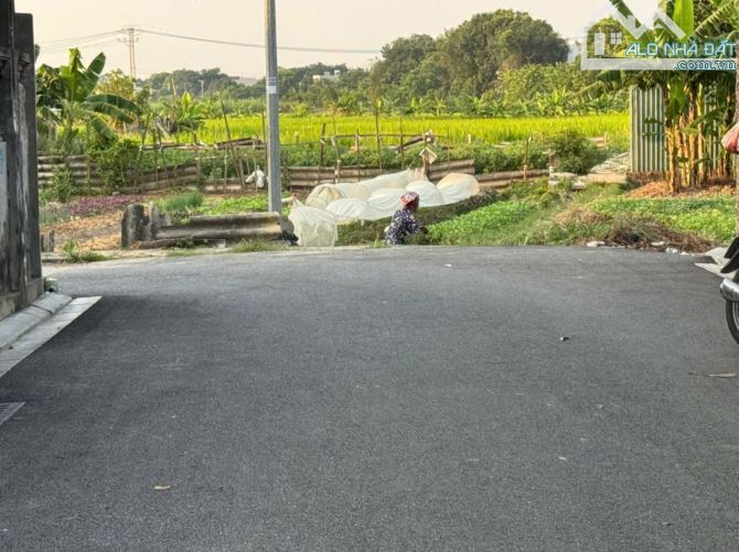 Cần bán 97.8m đất bìa làng  Kính Lỗ Uy Lỗ Đông Anh,đường ô tô tránh - 2