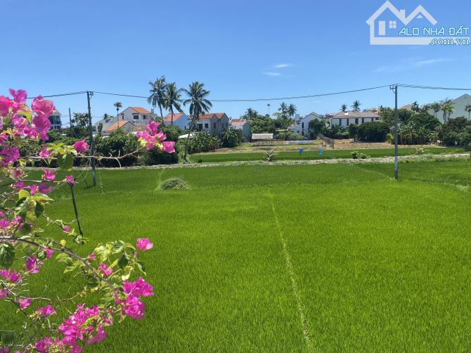 - Bán lô View Lúa đường Hùng Vương sát trung tâm phố cổ giá Rẻ - 2
