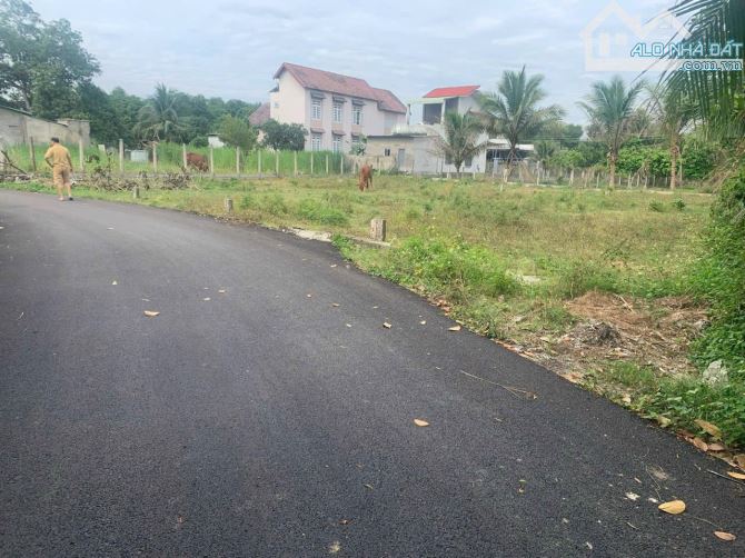 2 Lô Liền Kề Trung Tâm Xã Diên Lâm, Cách Đường Hương Lộ 39 Chỉ 40 Mét Giá 750 Triệu/Lô - 2