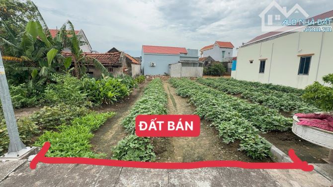 CHỦ BÁN ĐẤT PHÂN LÔ THỊ TRẤN THỊNH LONG  - Ô TÔ CHẠY VÒNG QUANH. GIÁ CHỈ 1,32 TỶ. - 2