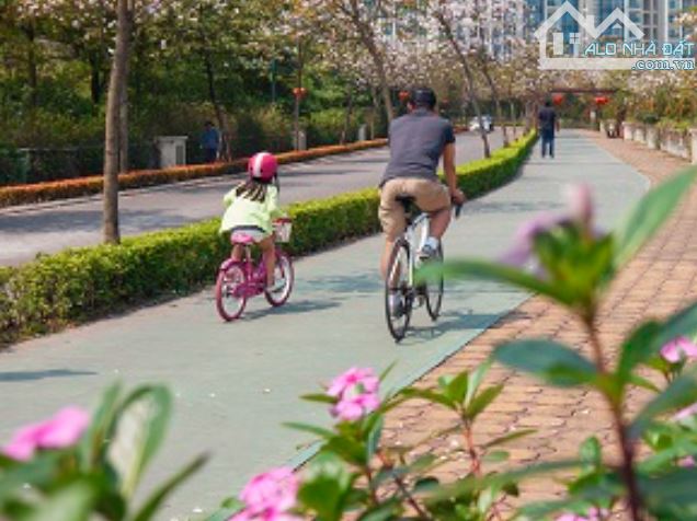 TOP 3 BIỆT THỰ ĐƠN LẬP GÓC ĐẸP TẠI CIPUTRA  (265M² - 426M² - 638M²) - 3