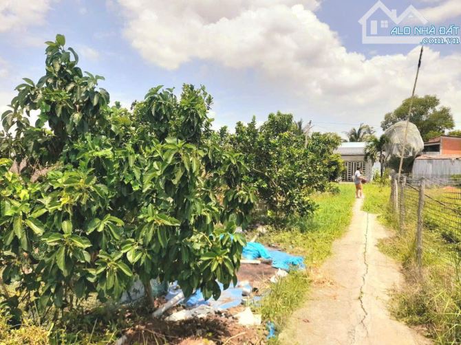 Quá ngộp, 1172m2 đất thổ cư KDC Nhựt Tảo, 22x 51m, chốt 850tr - 3