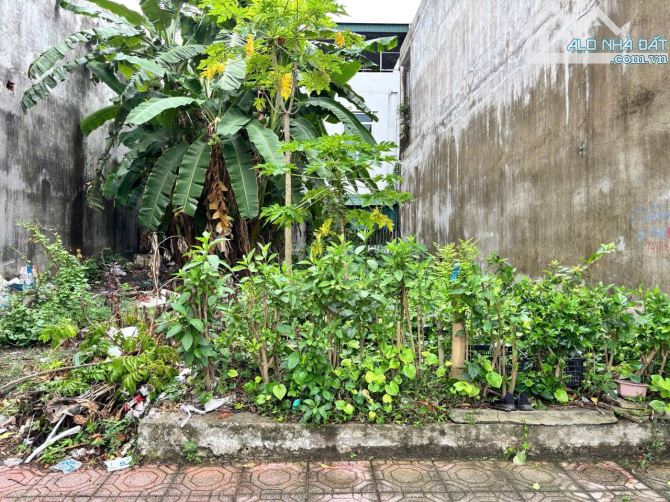 ☘️ BÁN LÔ ĐẤT ĐẸP – VỪA Ở VỪA KINH DOANH PHÚC KHÁNH, TP THÁI BÌNH  🔹 Diện tích: 47,1m² 🔹 - 3