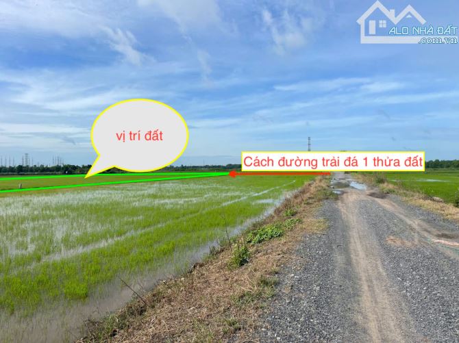 Đất bán vườn xã Trung Lập Hạ diện tích 7391m2 giá chỉ 500k m2 còn thương lượng. - 3