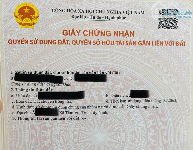 Cần bán 2,4công đất lúa tại xã Phú Ngãi Trị, huyện Châu Thành, Long An (cũ) - 3