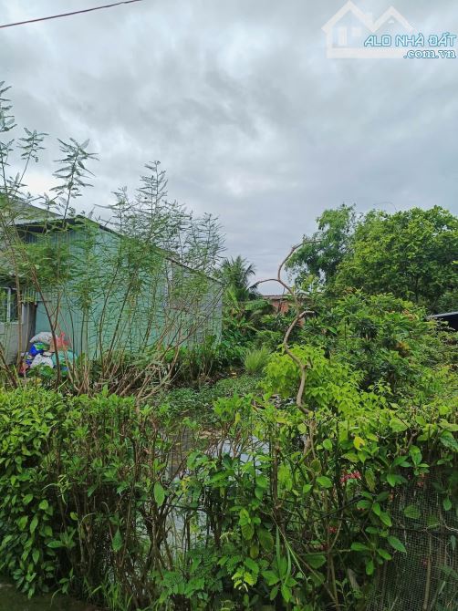Đất hẻm ô tô đường Nguyễn Quang Đại, P5 TP Tân An - 3