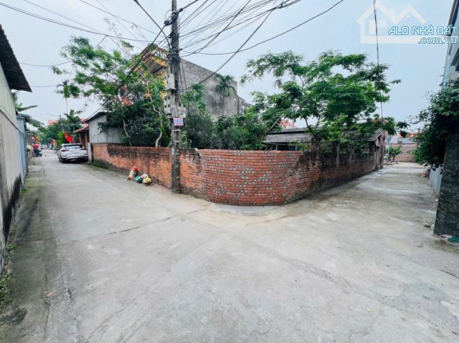 Bán đất 44.5m2 tại thôn Đường Nhạn, Xuân Nộn. Ô tô vào đất - 3