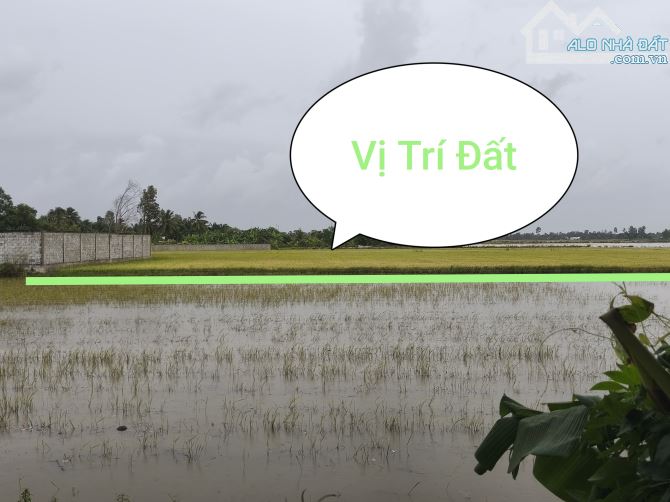 ***Cần Bán  4.276m² đất lúa giá cực tốt Phi Thông TP. Rạch Giá - KG. - 3