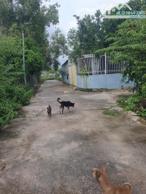 BÁN ĐẤT GẦN TRUNG TÂM , khu phố BẾN TRÀM - PHÚ QUỐC - 3