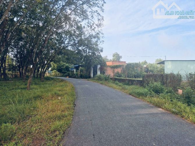 Chính chủ kẹt bán gấp đất mặt tiền đường Gốc Rưng xã An Nhơn Tây 3000m2 Qui hoạch đất ở - 3